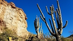 photo thumbnail #4