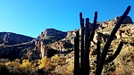 photo thumbnail #15