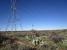 photo thumbnail #5