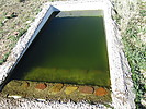 photo thumbnail #12
