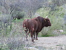 photo thumbnail #15