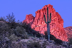 photo thumbnail #3