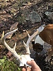 photo thumbnail #4