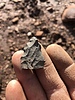 photo thumbnail #2