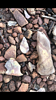 photo thumbnail #14