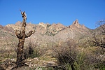 photo thumbnail #12
