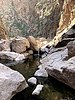 photo thumbnail #11