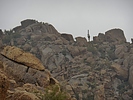 photo thumbnail #11