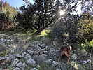 photo thumbnail #6