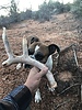photo thumbnail #8