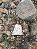 photo thumbnail #10