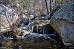 photo thumbnail #10