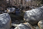 photo thumbnail #11