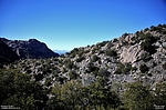 photo thumbnail #12
