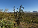 photo thumbnail #10