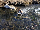 photo thumbnail #1