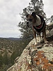 photo thumbnail #8
