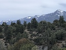 photo thumbnail #10