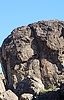 photo thumbnail #14