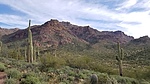photo thumbnail #2