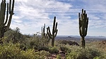 photo thumbnail #8
