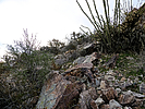 photo thumbnail #8