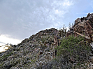 photo thumbnail #9