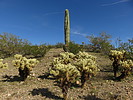 photo thumbnail #5