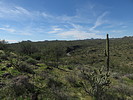 photo thumbnail #10