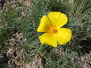 photo thumbnail #13