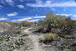 photo thumbnail #3