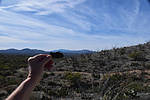 photo thumbnail #5