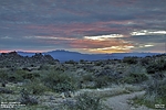 photo thumbnail #2