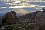 photo thumbnail #12