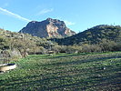 photo thumbnail #1