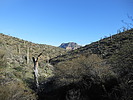 photo thumbnail #7