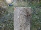 photo thumbnail #9