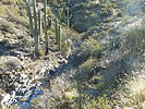 photo thumbnail #10