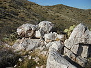 photo thumbnail #11