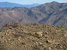 photo thumbnail #8