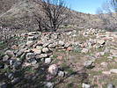 photo thumbnail #12