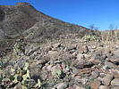 photo thumbnail #14