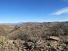 photo thumbnail #15