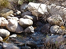 photo thumbnail #14