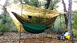 photo thumbnail #6