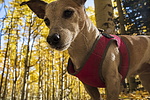 photo thumbnail #13