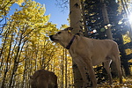 photo thumbnail #14