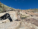 photo thumbnail #9