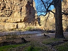 photo thumbnail #9