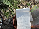 photo thumbnail #12